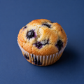 Blueberry Muffin